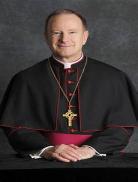 priest天涯客txt百度云盘